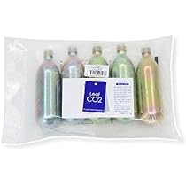 CO2ボンベ シルボン シルバーボンベ(シルボン) | くぅさんが育てる水草と魚達